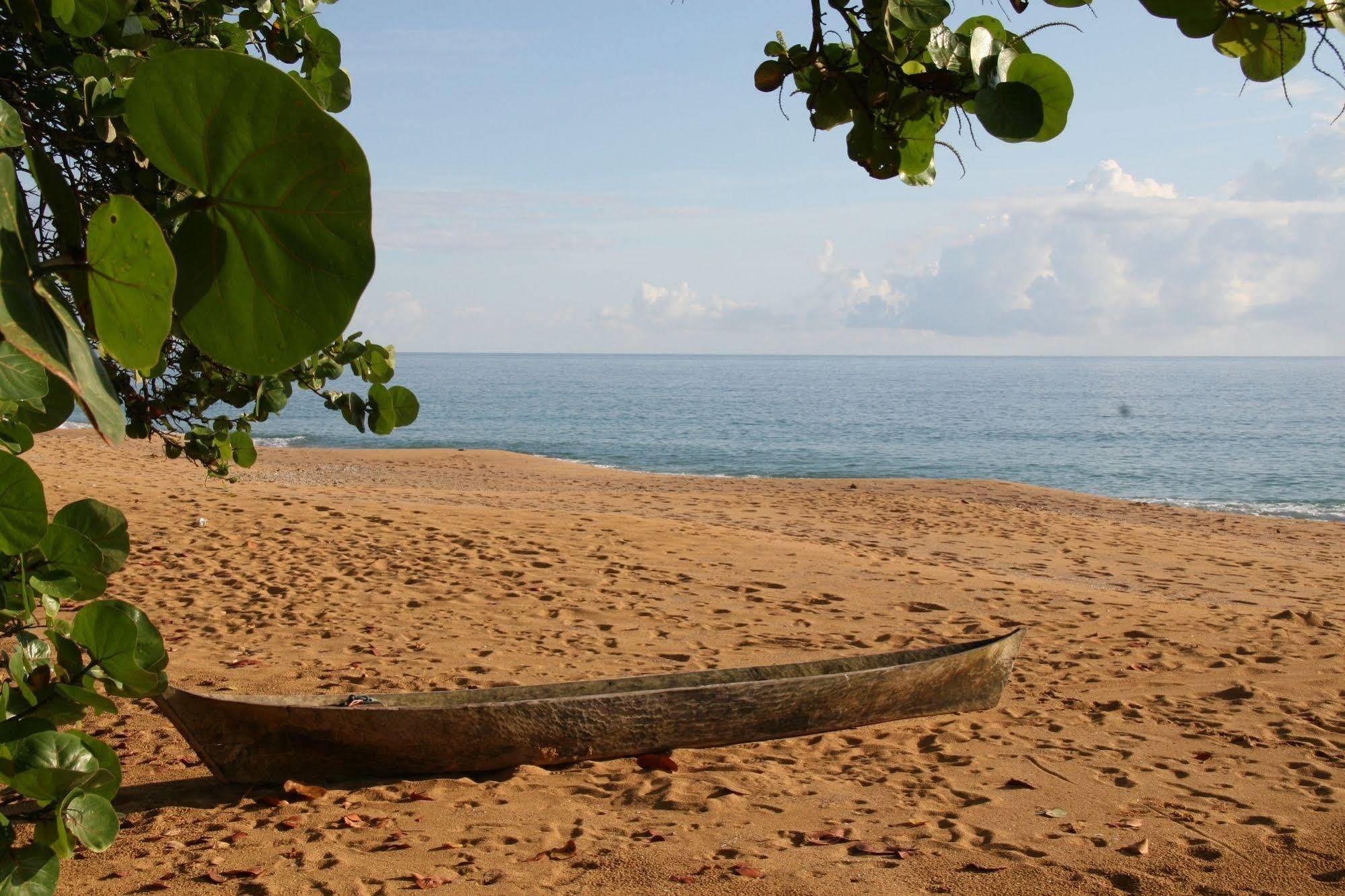 Bluff Beach Retreat Bocas del Toro Exterior photo